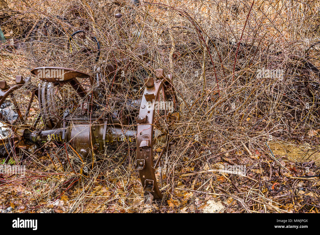 Alte Heu harken sitzen nur Rost entfernt, zusammen mit dem Eisernen Tor, und der kleine blaue Vogel Haus vergessen. Aber touristische und antiken Händler möchten Sie alle. Stockfoto