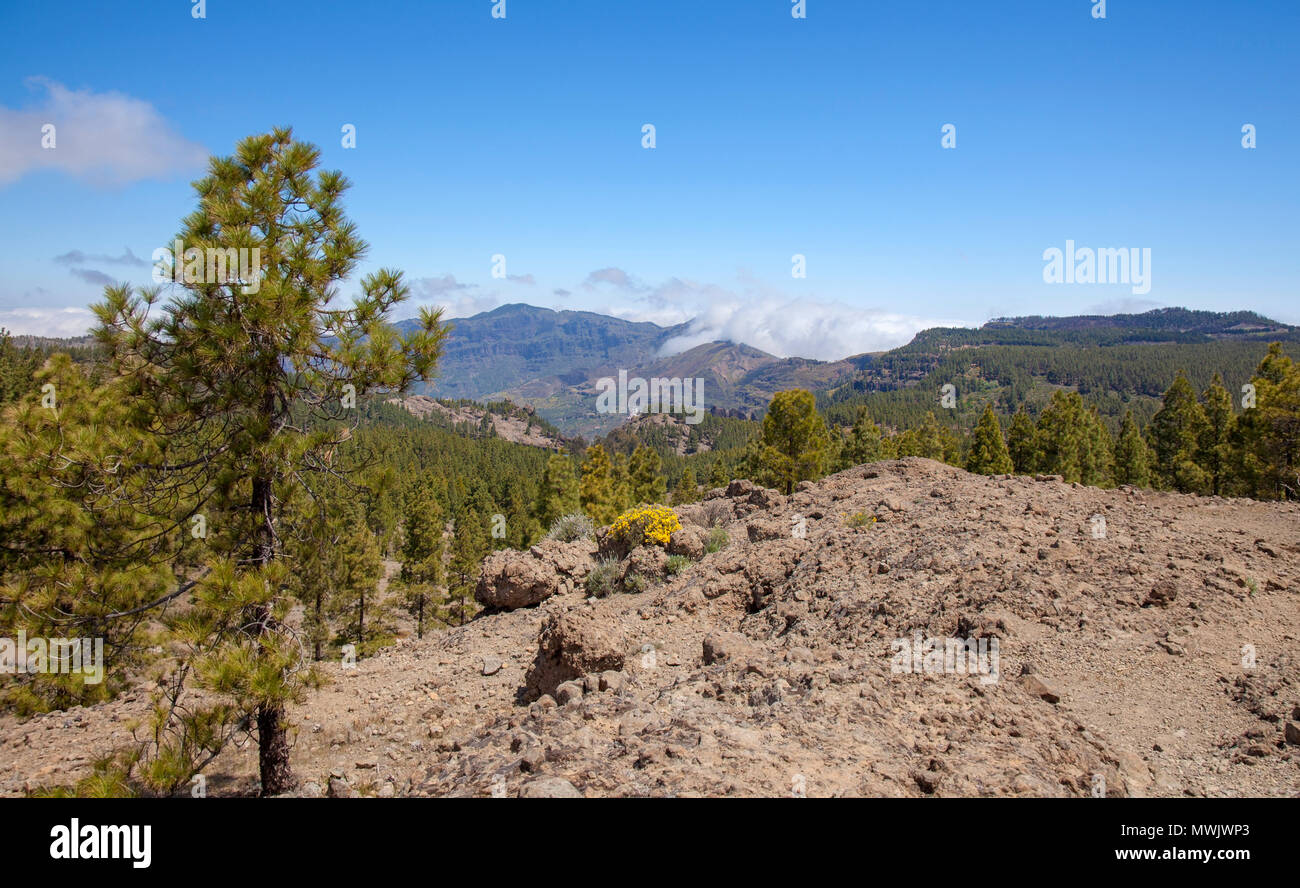 Gran Canaria, Mai, auf die Caldera de Tejeda in Richtung Wolken rollen über der Lippe des Caldera View Stockfoto
