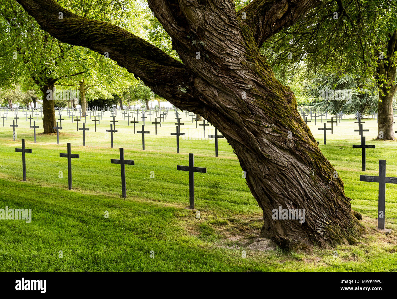 Deutsche Ersten Weltkrieg Friedhof Neuville St. Vaast, in der Nähe von Arras, Frankreich Stockfoto