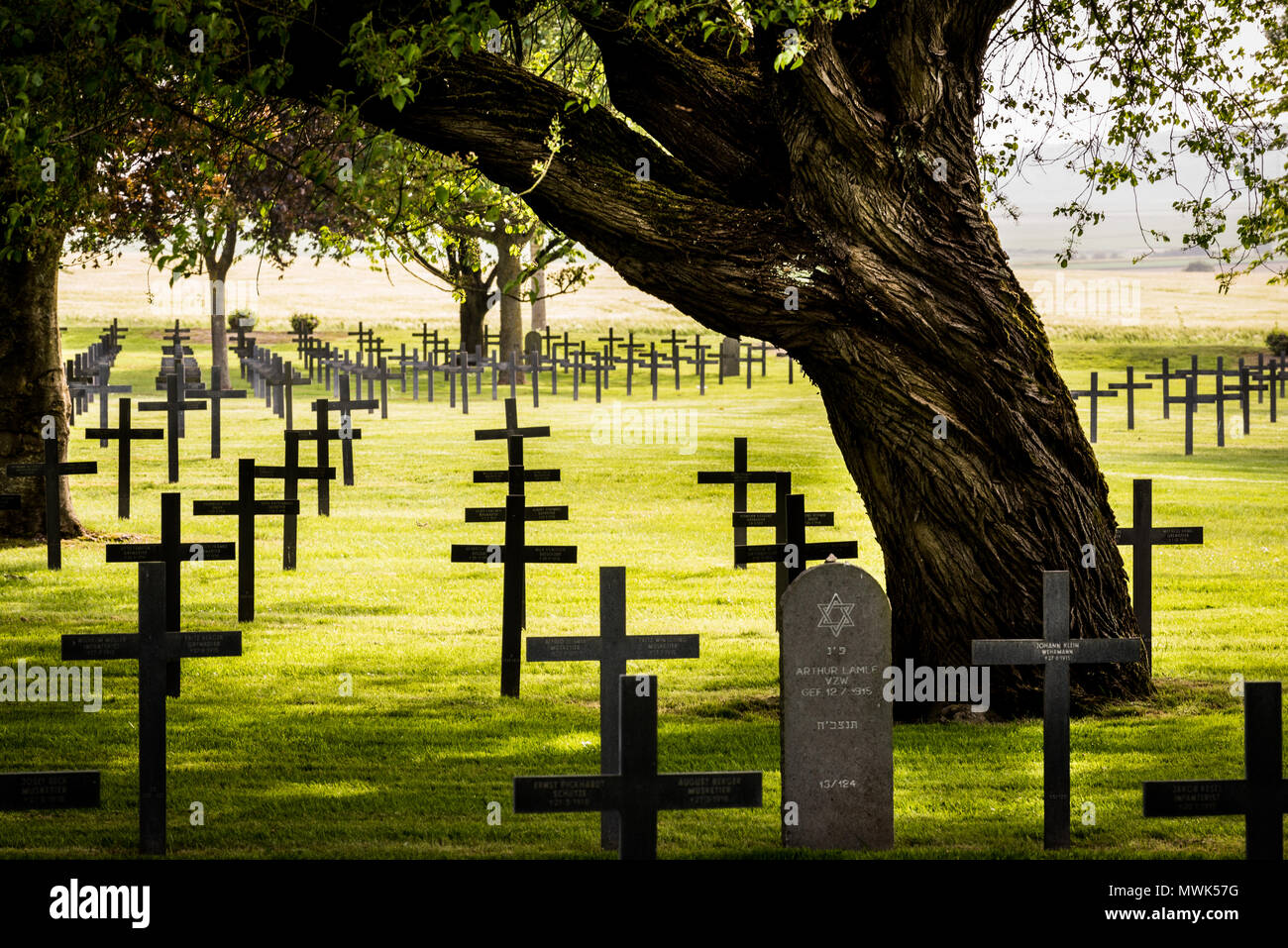 Deutsche Ersten Weltkrieg Friedhof Neuville St. Vaast, in der Nähe von Arras, Frankreich Stockfoto