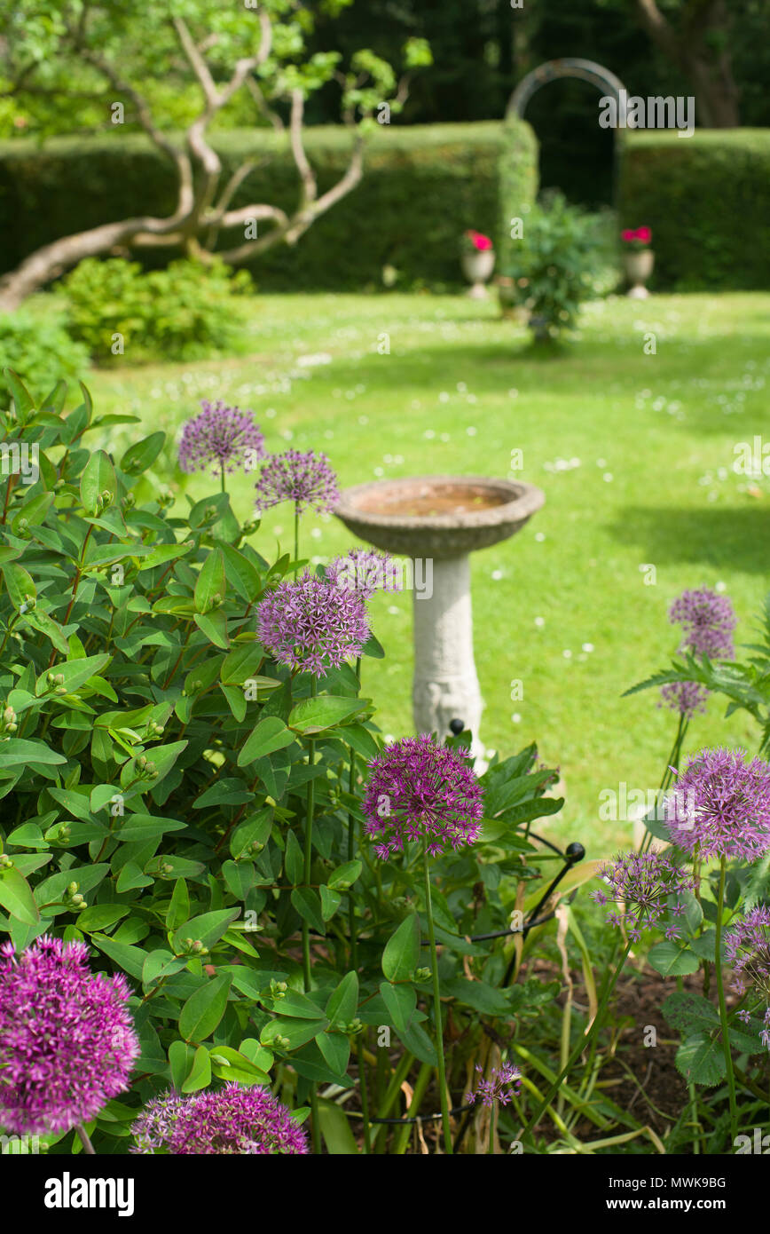 Weidenbirne Stockfotos Und Bilder Kaufen Alamy