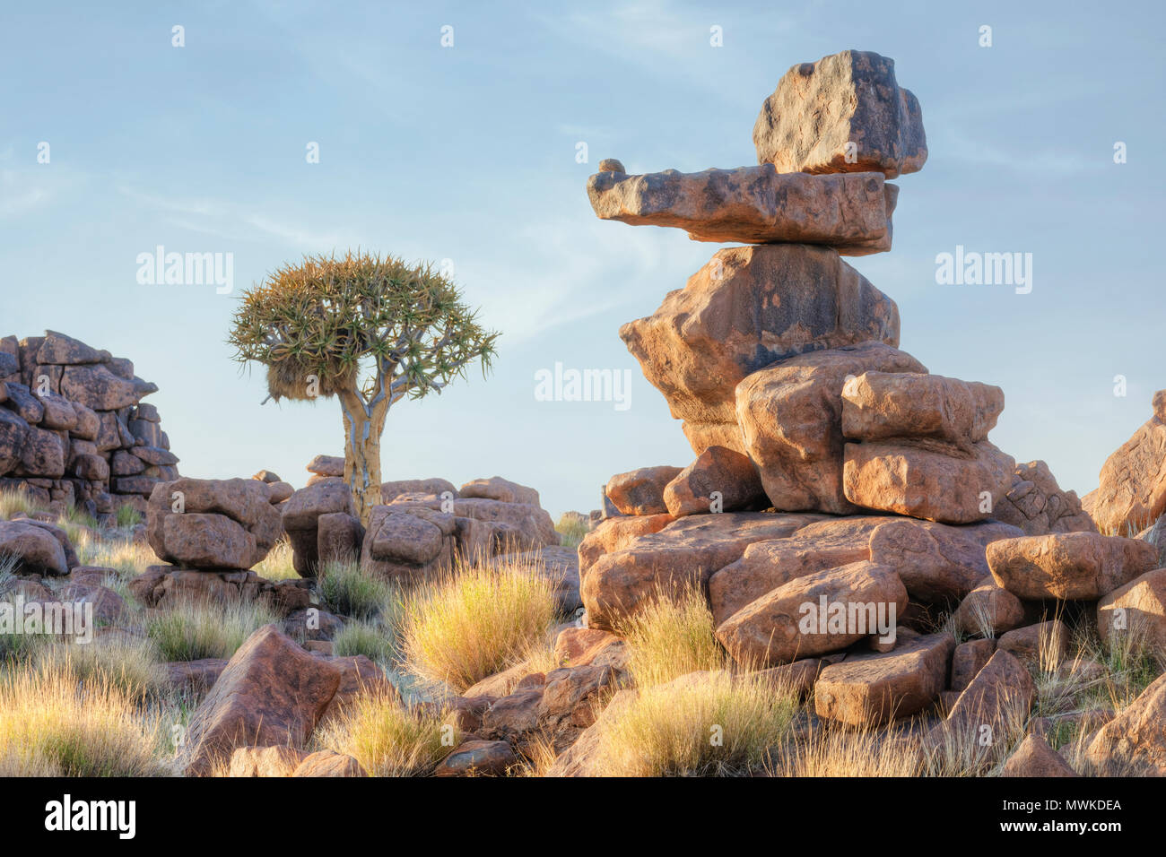 Köcherbaumwald, Keetmanshoop, Namibia, Afrika Stockfoto