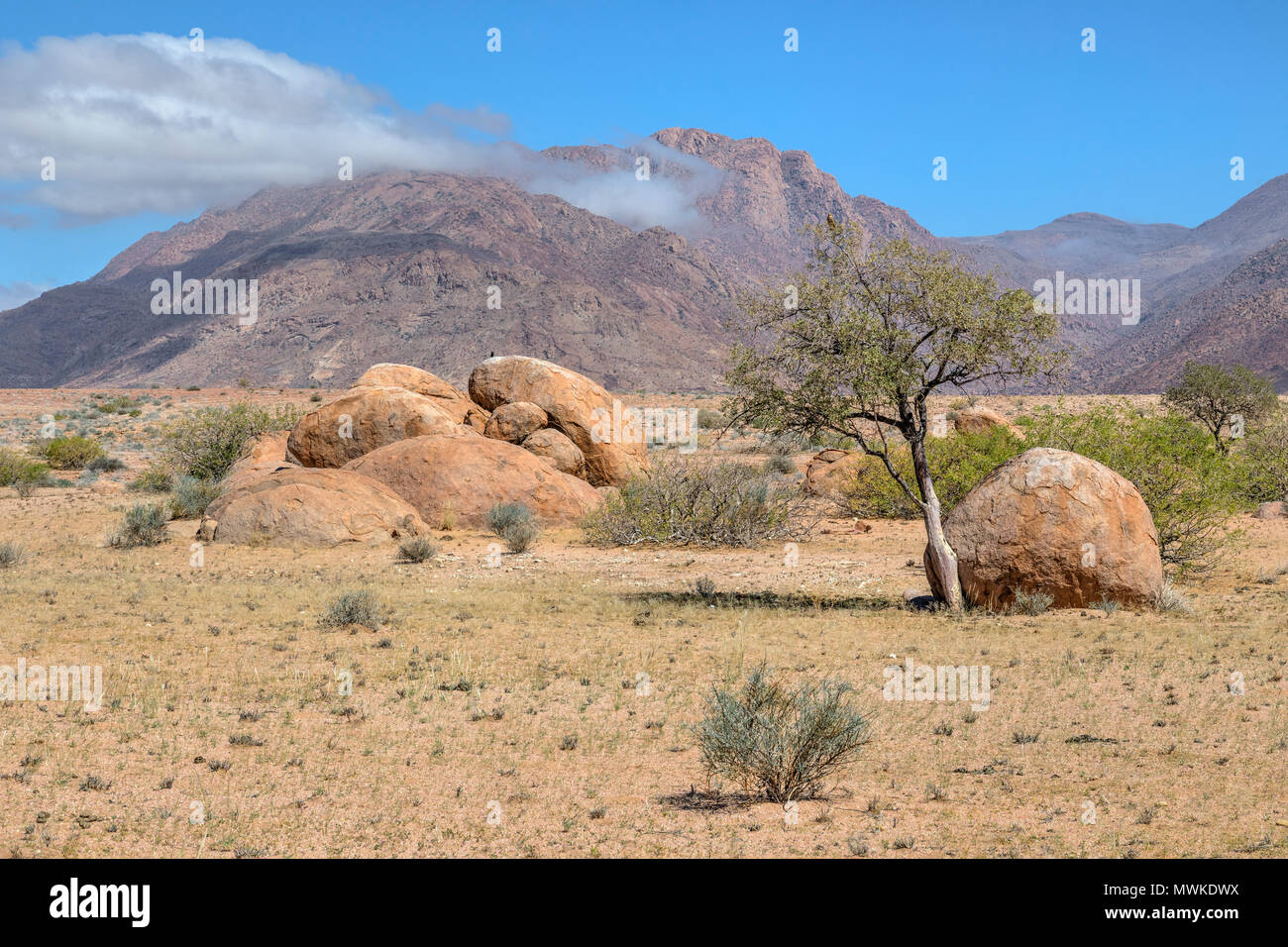 Brandberg, Namibia, Afrika Stockfoto