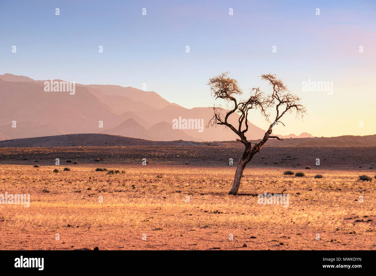 Brandberg, Namibia, Afrika Stockfoto