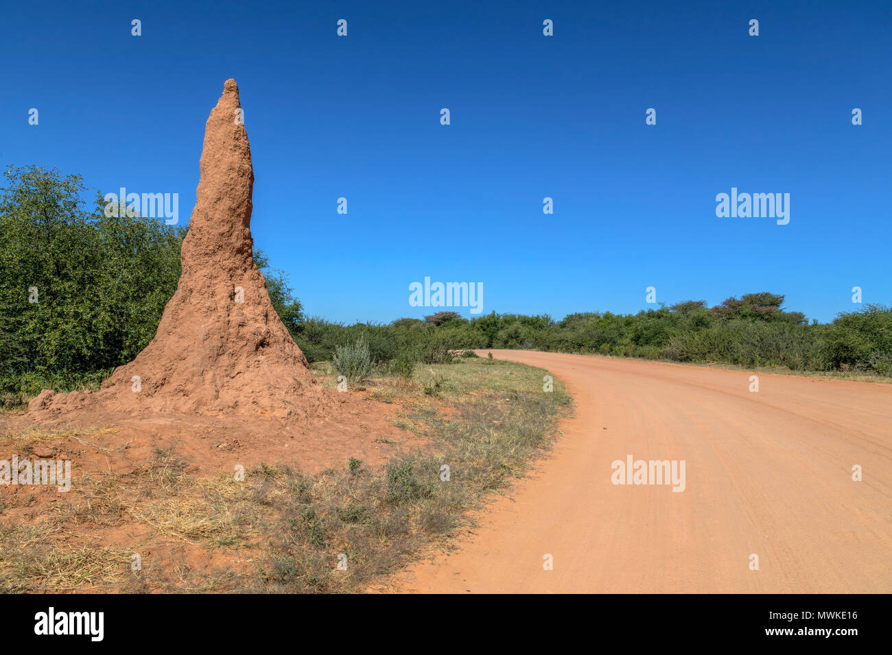 Waterberg Plateau Park, Namibia, Afrika Stockfoto