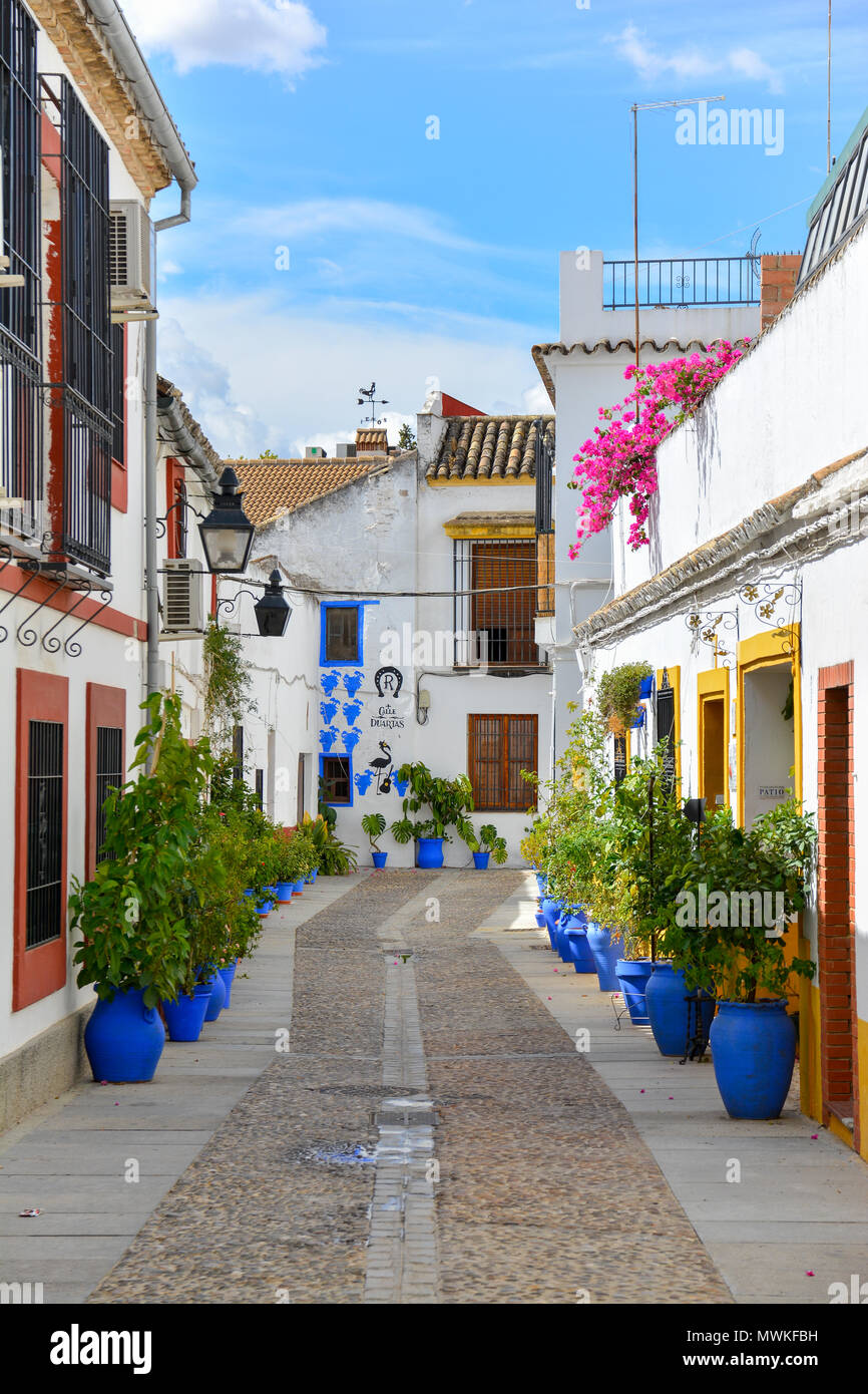 Gepflasterte Straße der Farbe in Cordoba, Spanien im September. Traditionellen, weiß getünchten Wänden, blauen Terrakotta Blumentöpfe, rosa Blüten überhängenden Wand Stockfoto