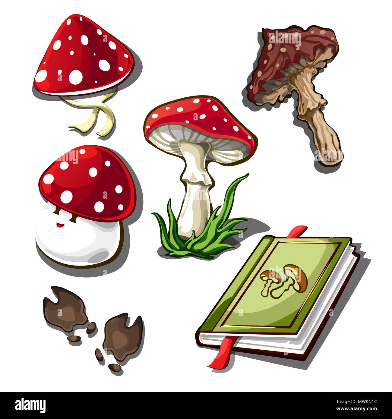 Die Gruppe von Objekten über die Pilze auf einem weißen Hintergrund. Amanita giftige Pilz. Vector Illustration. Stock Vektor