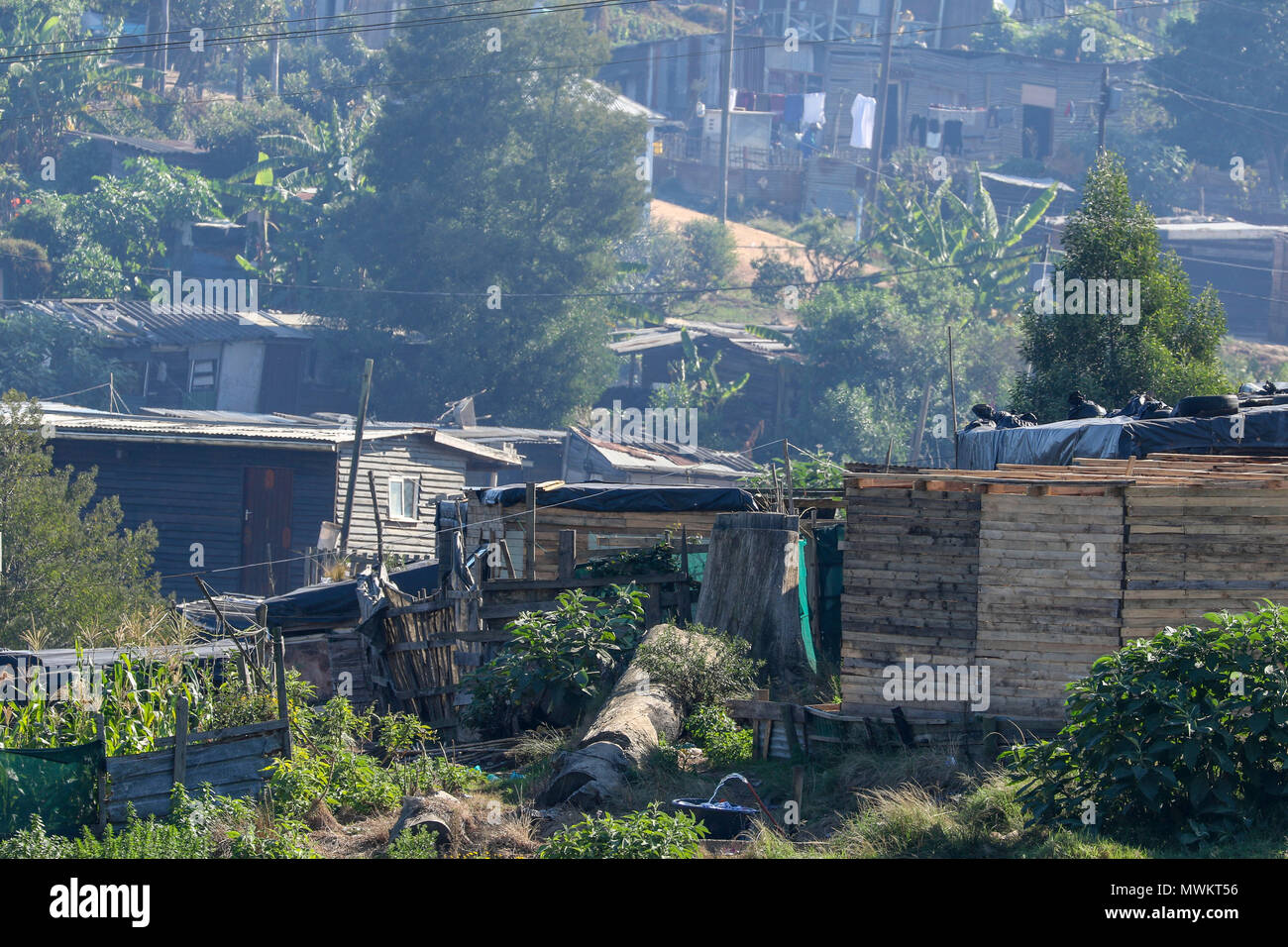 Township in der Nähe von kysna an der Garden Route, Südafrika Stockfoto