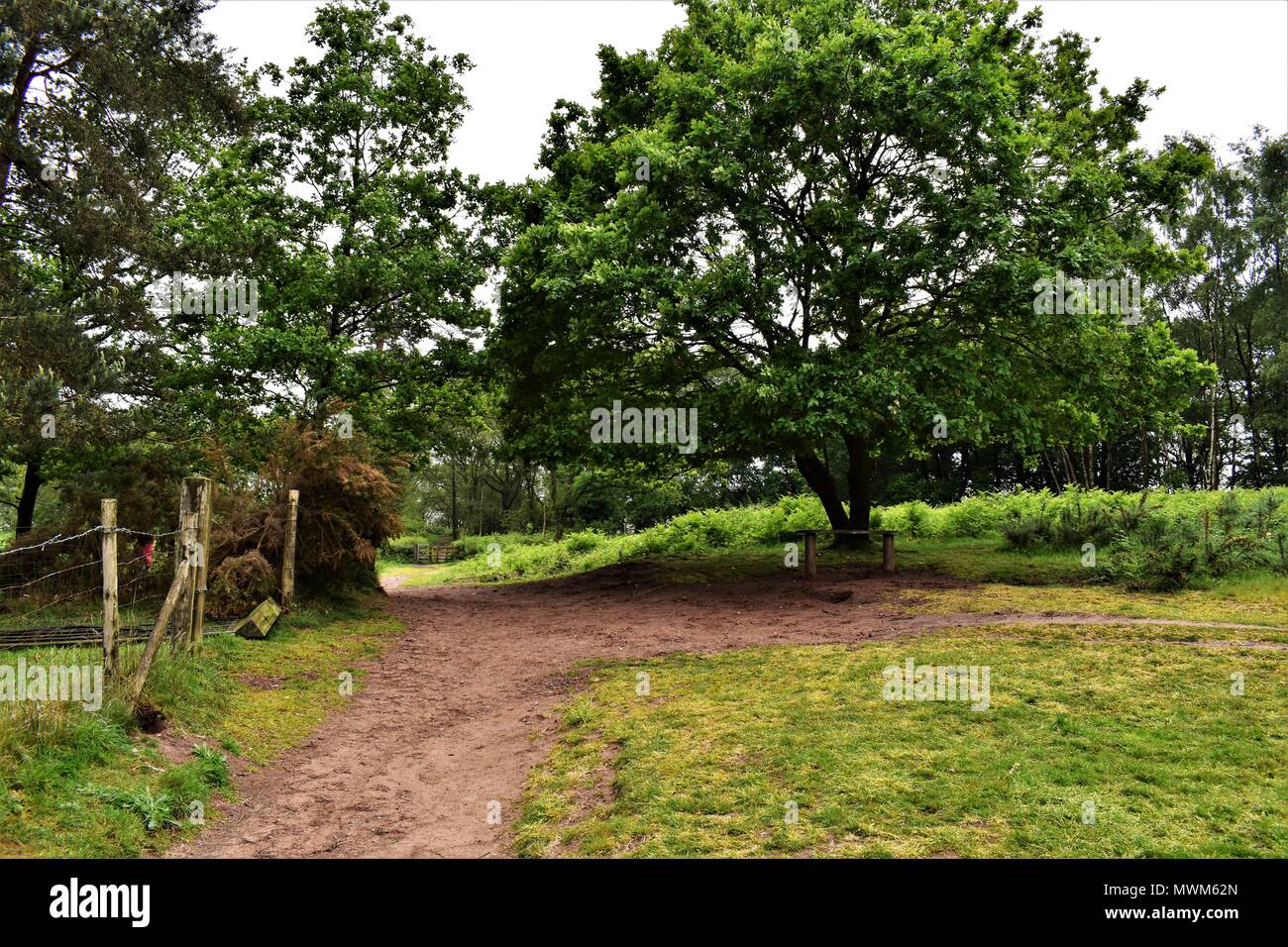 Aussicht, Sehenswürdigkeiten und Landschaften Stockfoto