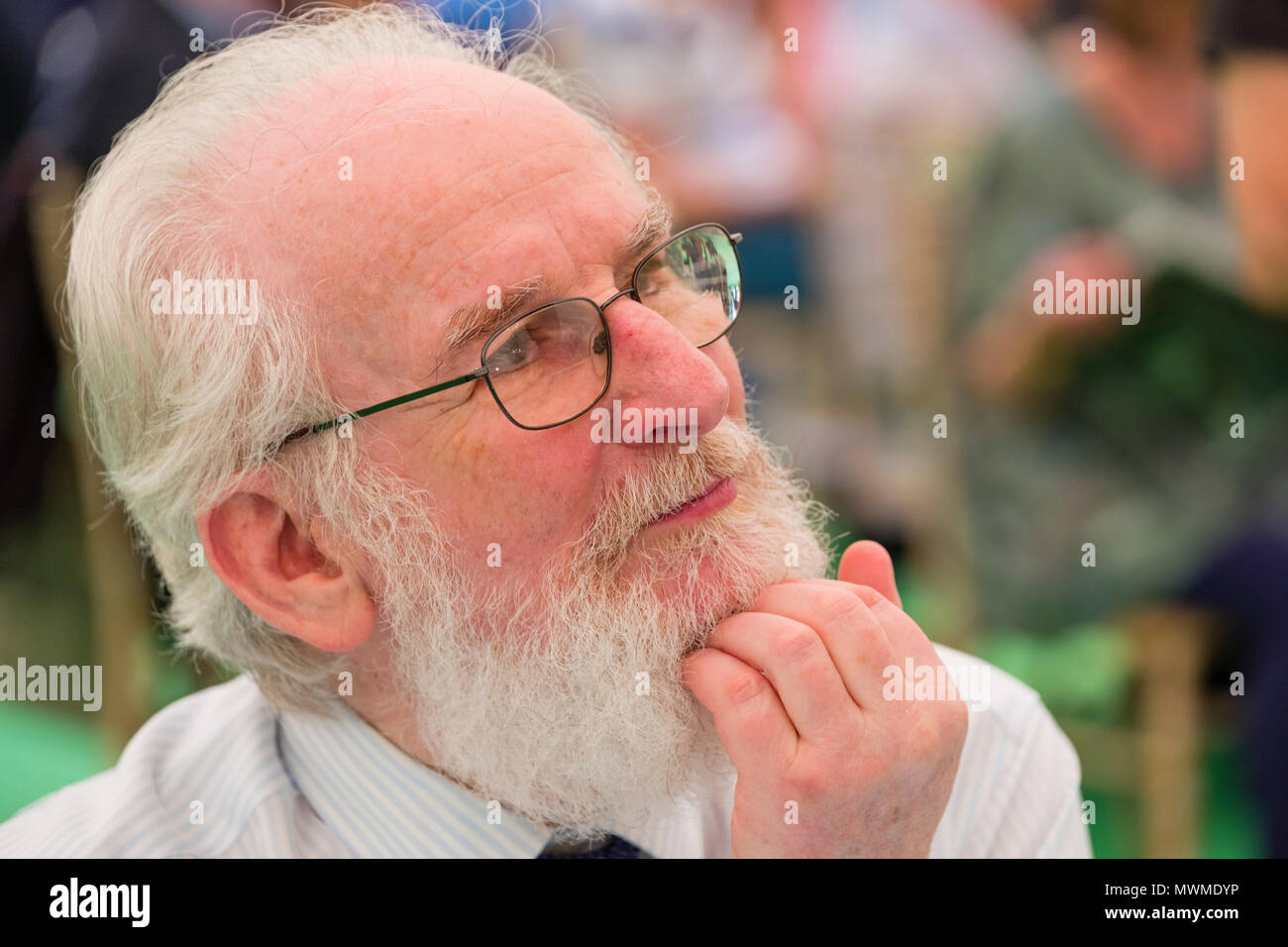 Professor David Crystal, akademische, Sprachwissenschaftler, Autor, Thema. Crystal ist ein Verfechter einer neuen Studienrichtung, Internet Linguistik und Sprache veröffentlicht hat und das Internet (2001) auf der Subje im Hay Festival der Literatur und Künste, Mai 2018 Stockfoto