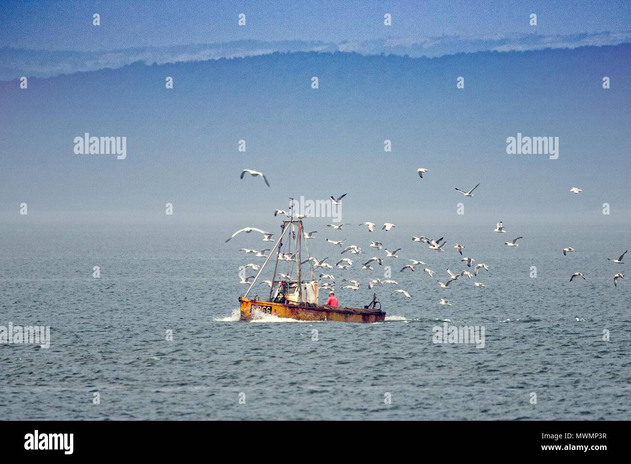 Ein Fischer seine Netze von Rammstein, gefolgt von Baumkurren, Morecambe Bay, Lancashire, Großbritannien Stockfoto