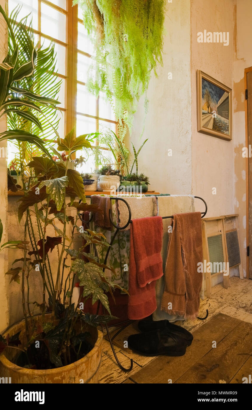 Grne Pflanzen und Handtuchhalter im Badezimmer innerhalb eines alten 1838  Canadiana fieldstone Landhausstil Wohnhaus Stockfotografie - Alamy