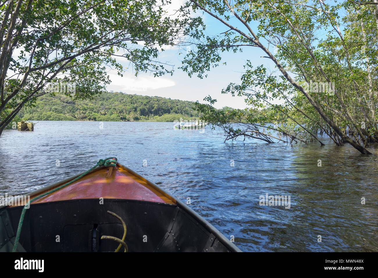 Itacaré, Brasilien - Dezember 9, 2016: Bootsfahrt aus einer Mangrove grünes Wasser Kanal Stockfoto