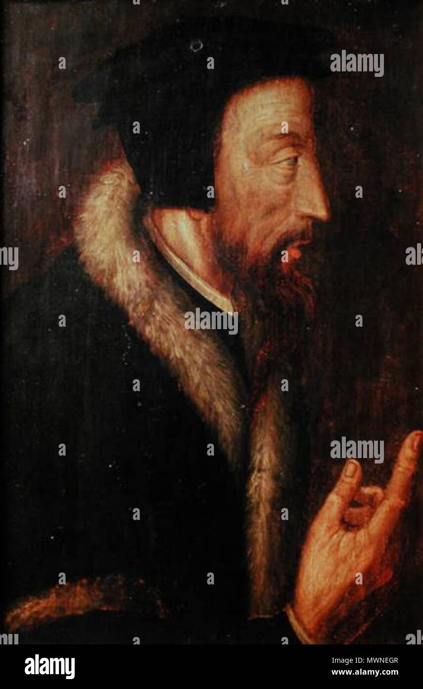 . Englisch: Anonym 16. Jahrhundert Portrait von Calvin. (Vordere Abdeckung Cottret, Bernard (2000), Calvin: eine Biographie, Grand Rapids, Michigan: Wm. B EERDMANS). 16. Jahrhundert. Anonym 495 Portrait Johannes Calvin Stockfoto