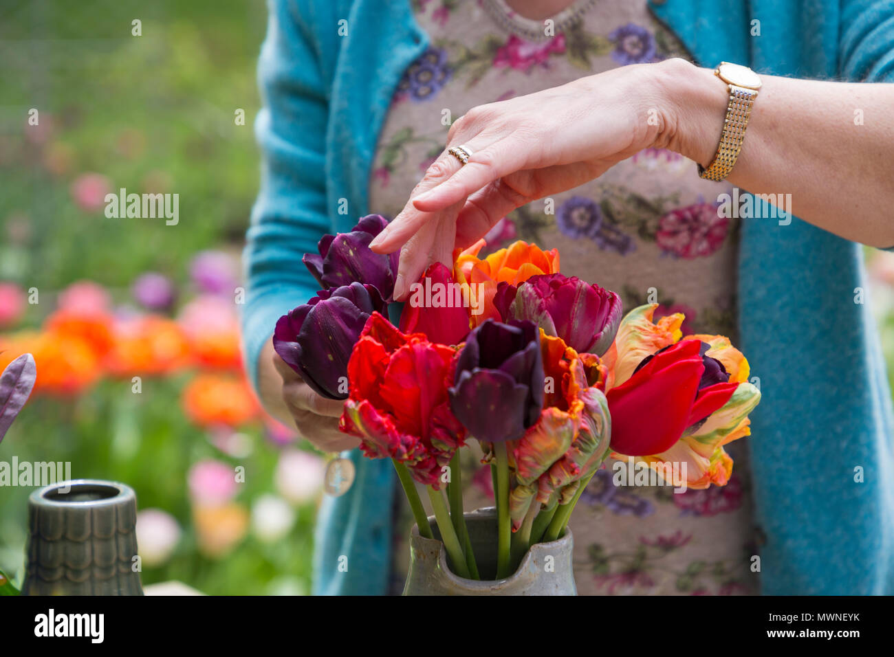 Angela Tolputt Erstellen eines roten themed Tulip Anordnung in einem grauen Keramik Krug. Mit Tulipa 'Rokoko', Tulipa von unlover', Tulipa 'Königinnentag' und Tul Stockfoto