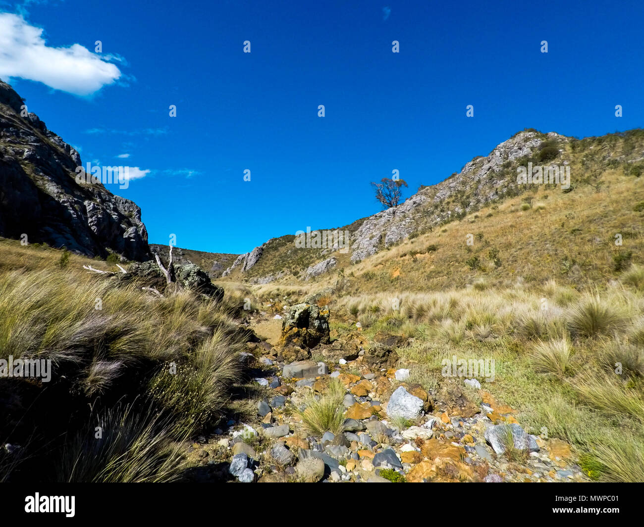 Ein leeres Flussbett in Kosciuszko National Park, Australien. Stockfoto