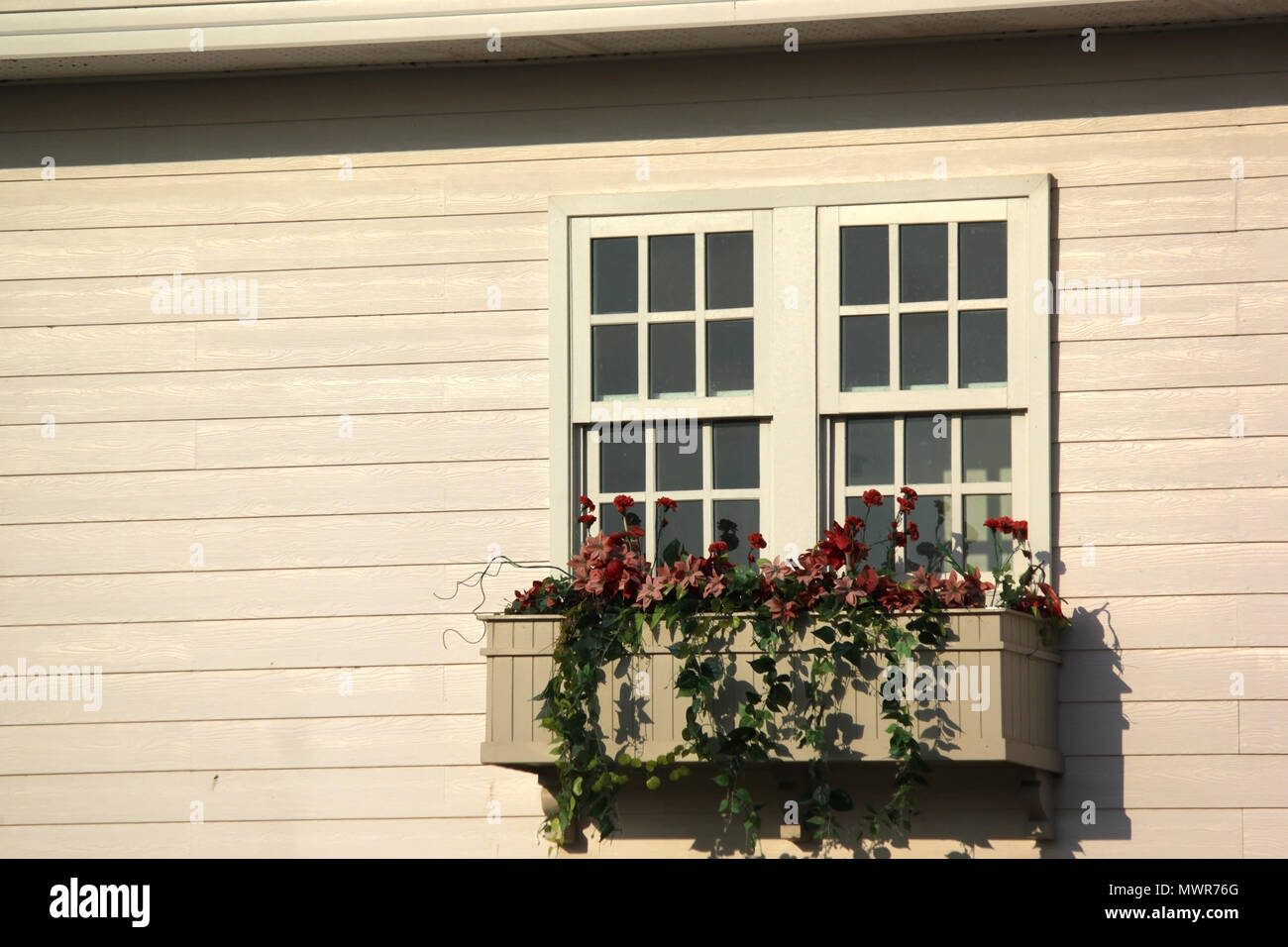 Foto von Vintage Fenster mit Blumentopf auf Holz Wand Stockfoto