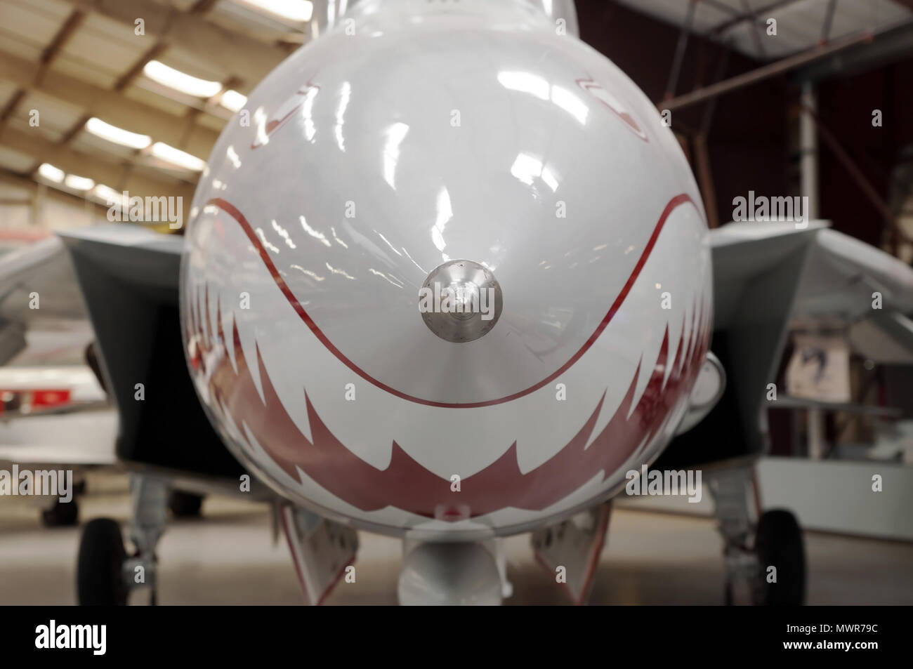 Nahaufnahme der vorderen Anstellwinkel der Sonde auf einem F 14 Tomcat Aircraft Stockfoto
