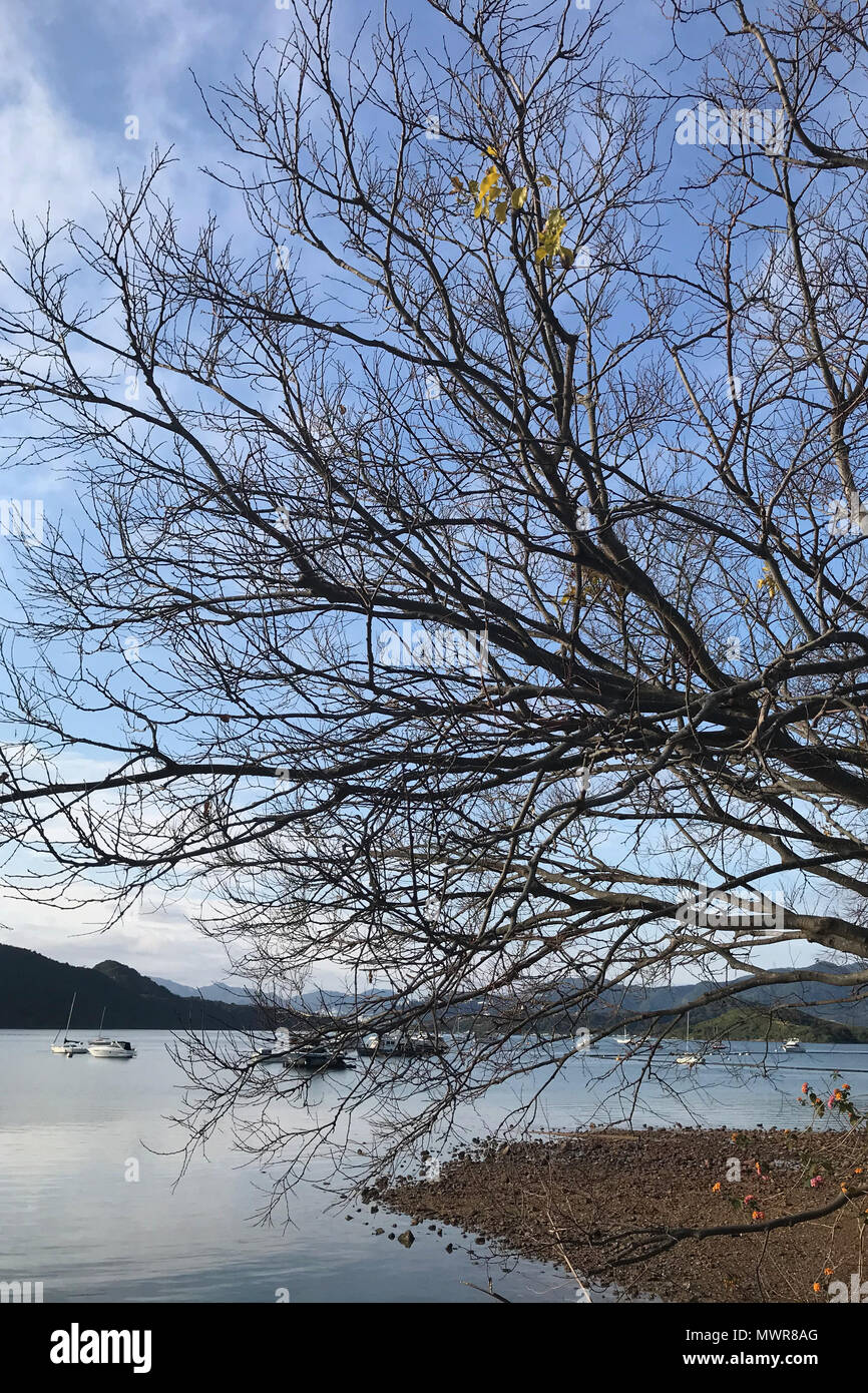 Die vertikale natürliche Fotografie Baum, Berg und See im Winter Stockfoto