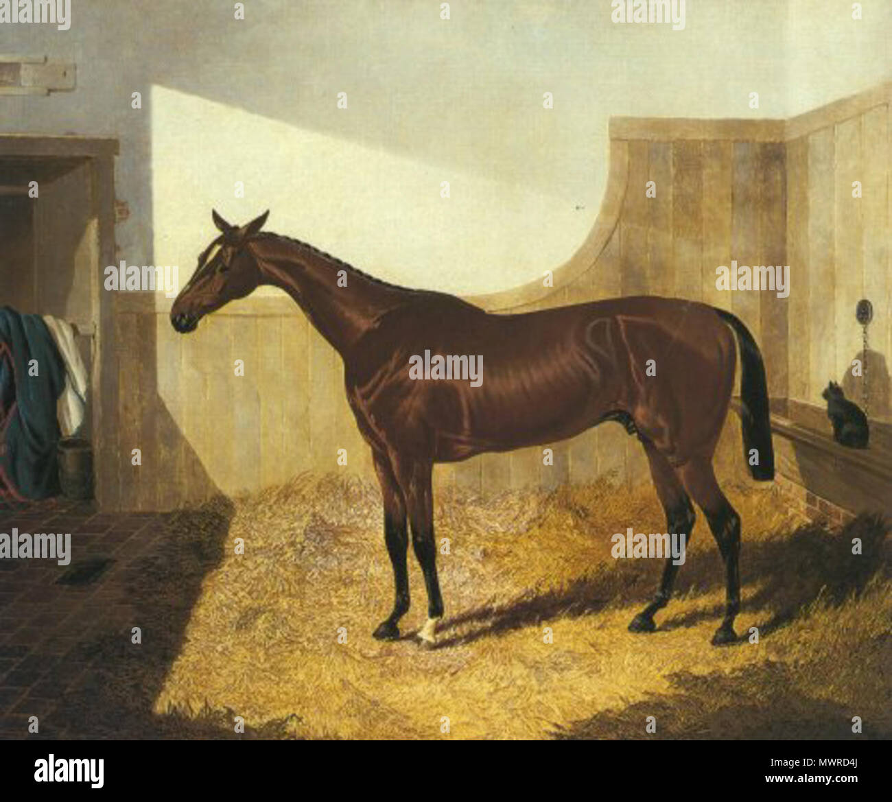 . Englisch: Sir Tatton Sykes, Gewinner der 1846 St Leger, von John Frederick Herring Jr 1820-1907 Thema tot für 105 Jahre. 24. März 2012. John Frederick Herring Jr 562 Sir Tatton Sykes 1846 Stockfoto