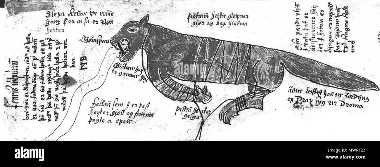 . Eine Abbildung der Nordischen wolf Fenrir, aus einer isländischen Handschrift aus dem 17. Jahrhundert. Der Scan eines Schwarz/Weiß-Fotografie. 1680 [1]. Unbekannt 41:00 738 4, 43 v, BW Fenrir Stockfoto
