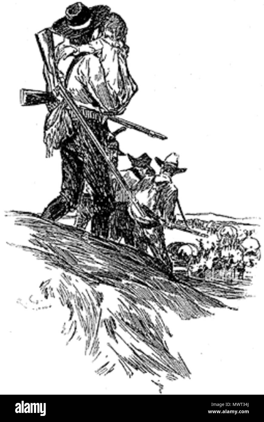 554 SH STUDIE-15 Stockfoto