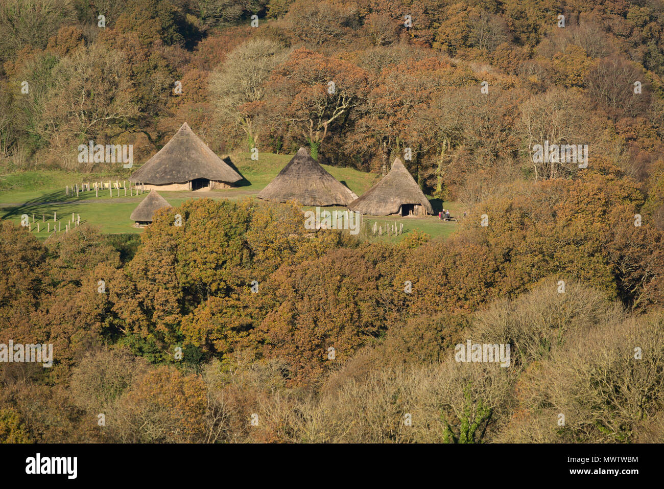 Castell Henllys Eisenzeit Dorf im Herbst, durch den Nationalpark Pembrokeshire Coast, Pembrokeshire, Wales, Vereinigtes Königreich, Europa gebaut Stockfoto