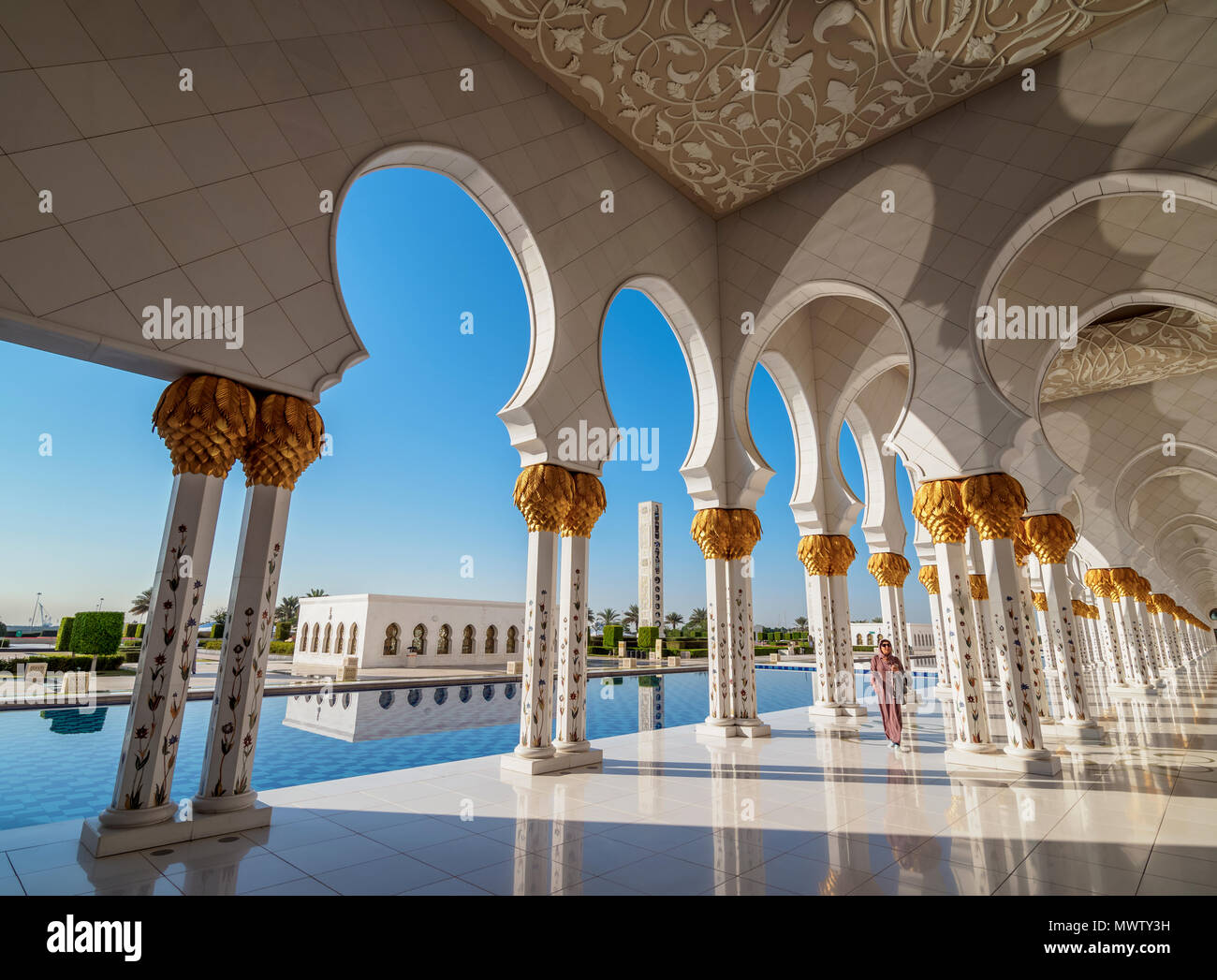Sheikh Zayed bin Sultan Al Nahyan Moschee, Abu Dhabi, Vereinigte Arabische Emirate, Naher Osten Stockfoto
