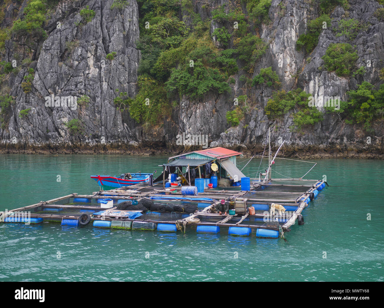 Schwimmende Fischerdorf im Lan Ha Bucht, Insel Cat Ba, eine typische Karstlandschaft in Vietnam Indochina, Südostasien, Asien Stockfoto