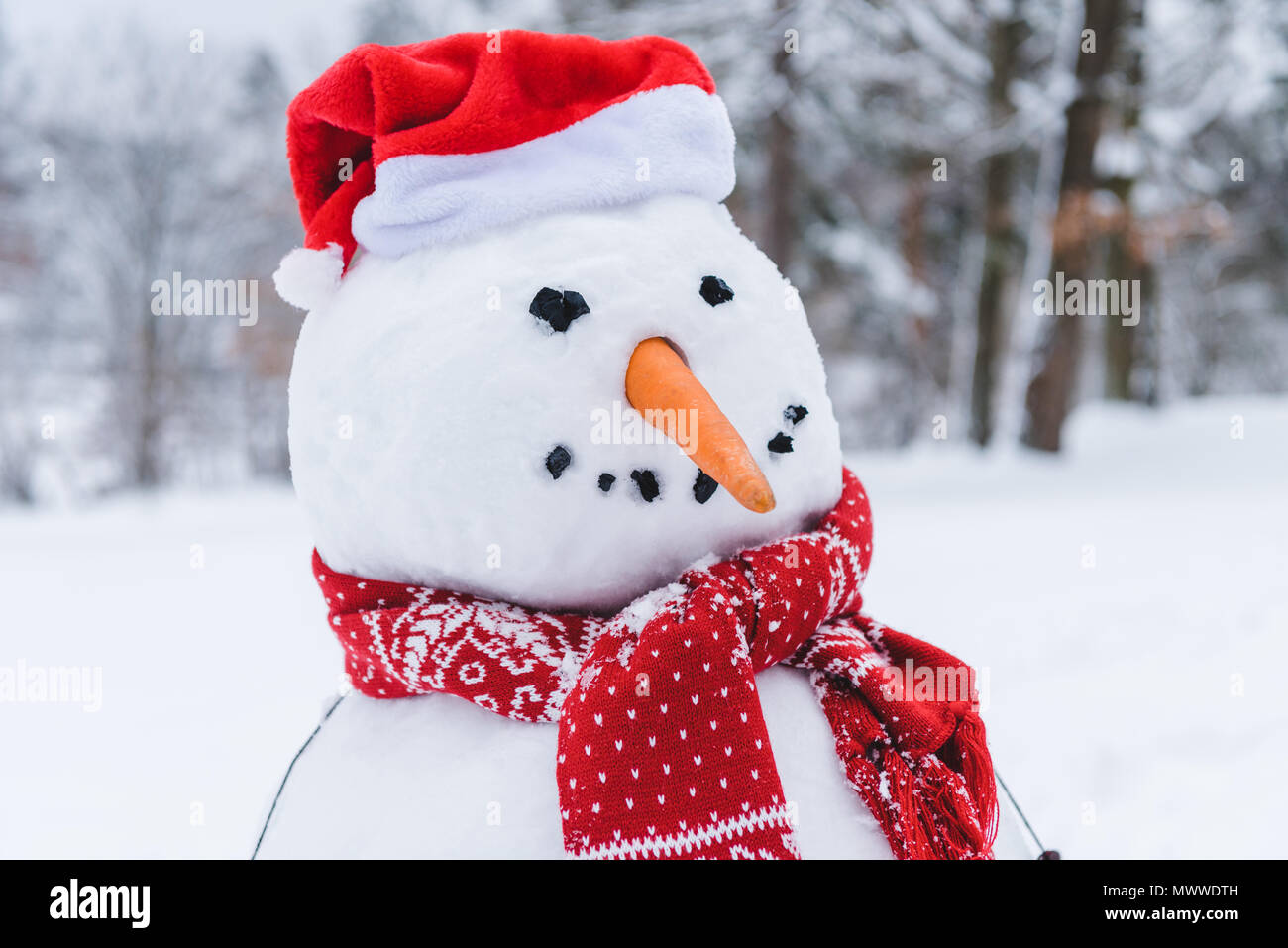 Nahaufnahme der lustige Schneemann in Schal und Santa hat im Winter Park Stockfoto