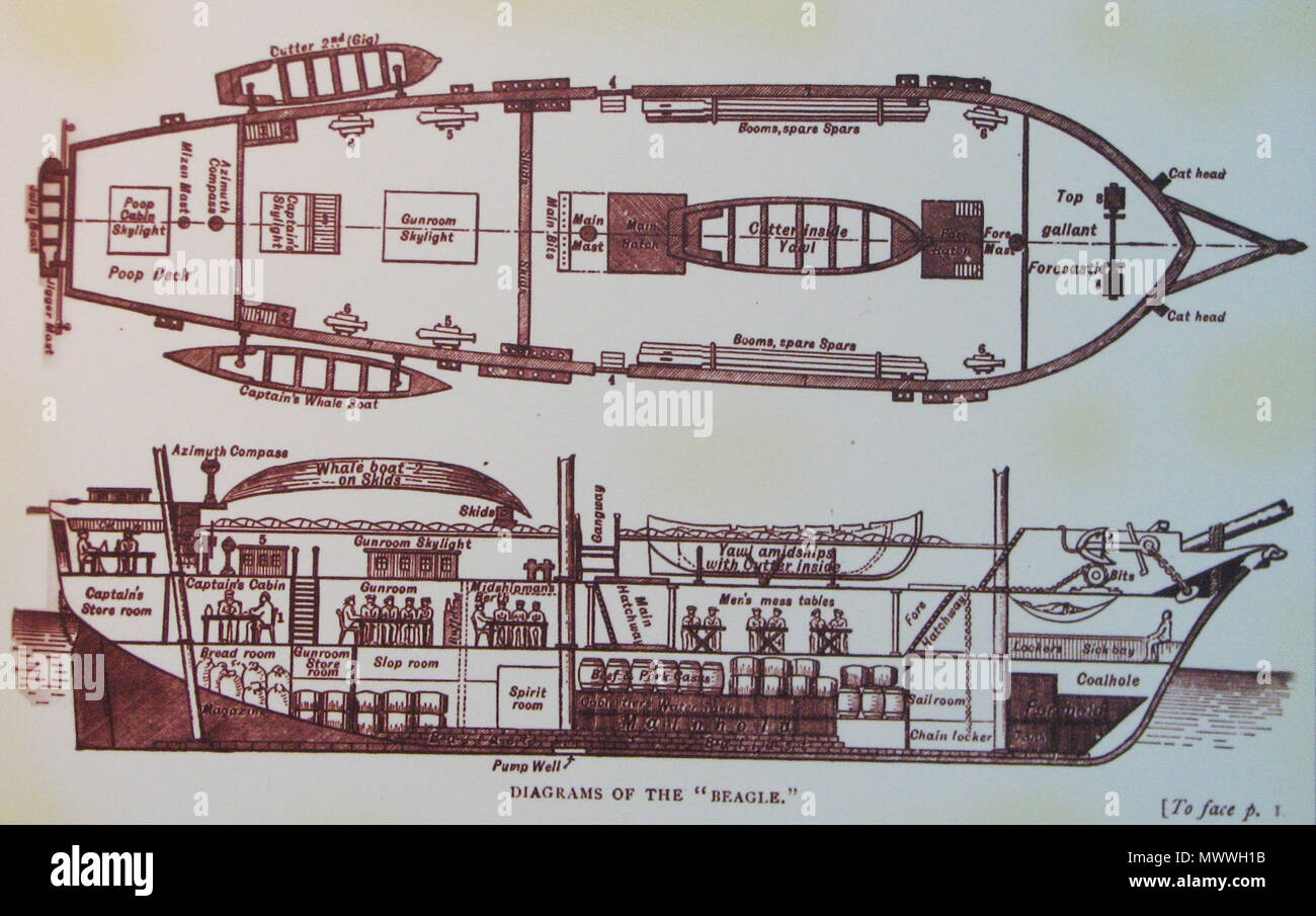 . Englisch: Zwei Diagramme, HMS Beagle während der Zeit als Charles Darwin war auf dem Board. Foto einer Reproduktion aus einem Buch von Darwin, die eine Ausstellung über Charles Darwin in der Brünner museum Anthropos begleitet. 23. Mai 2009. HTO-281 HMS Beagle Diagramme Stockfoto