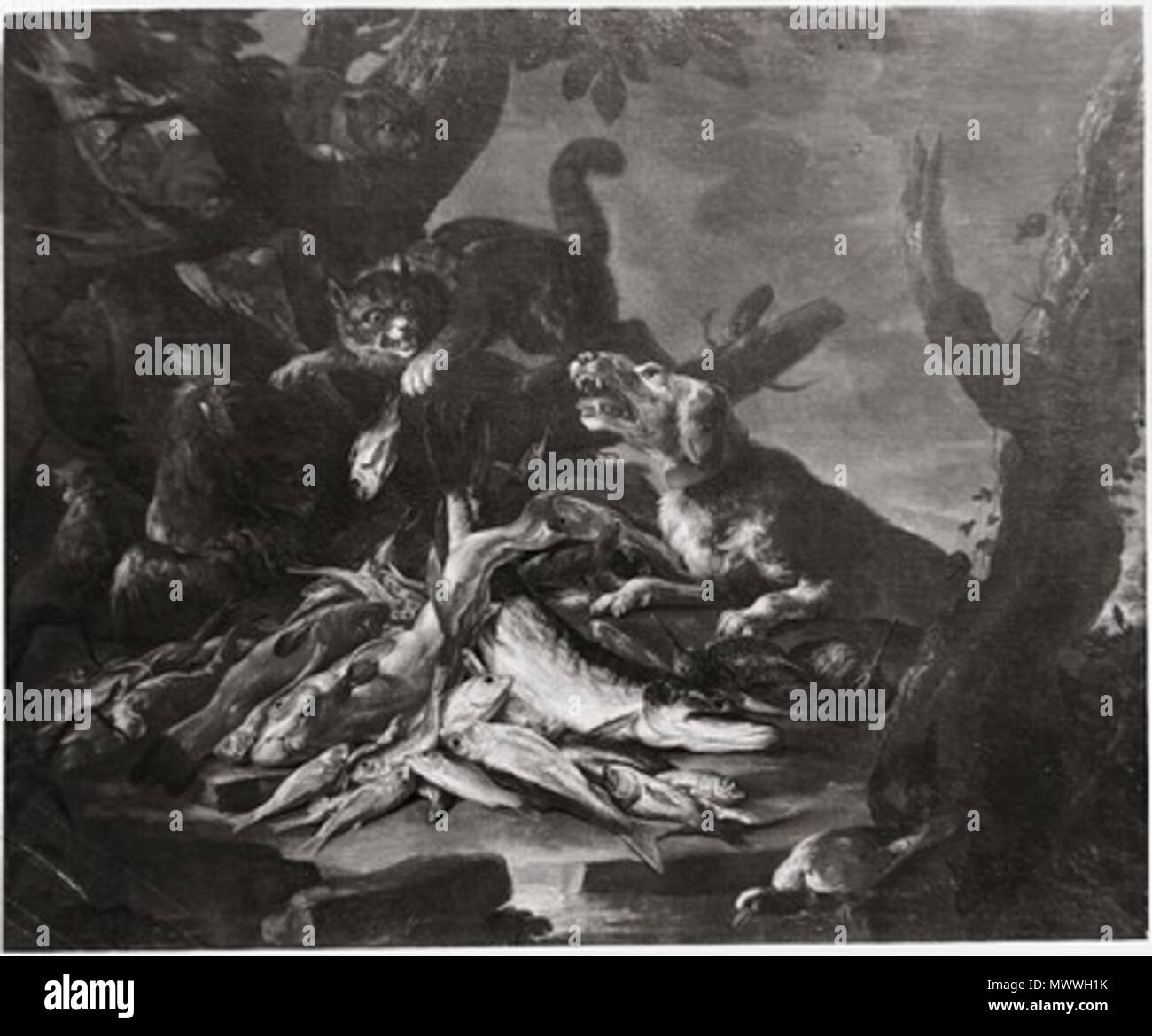 Viele Fische datieren Website anmelden