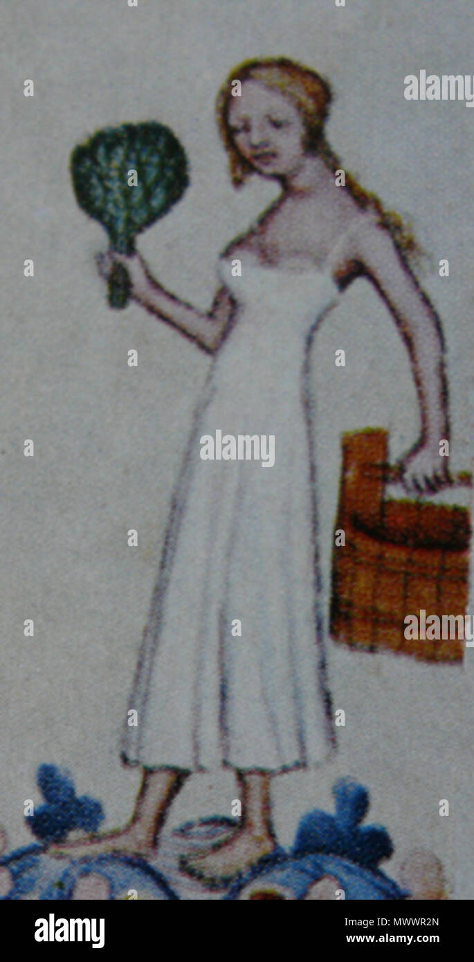 . Čeština: Lazebnice. 15. Jahrhundert. Anonym 362 Lazebnice 2 Stockfoto