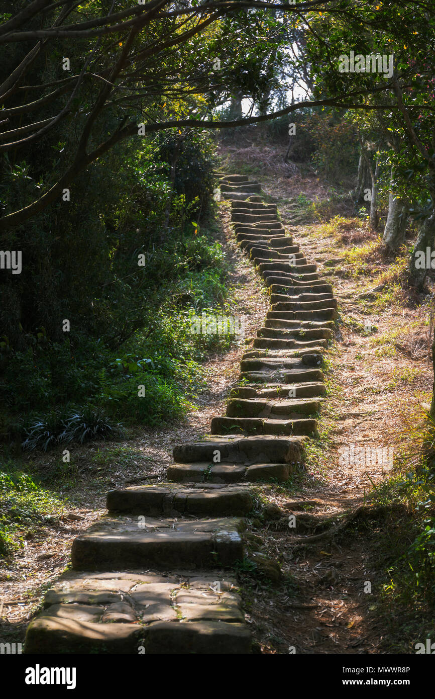 Eine bewaldete Felsen weg in eine Öffnung im Abstand führenden Stockfoto