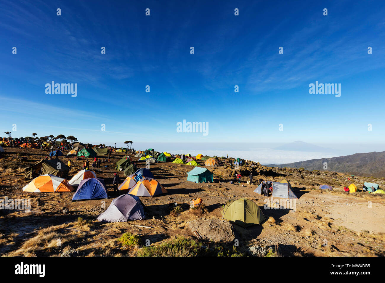 Zelte auf Umbwe Camp mit Blick auf den Mount Meru, 4565 m, Kilimanjaro Nationalpark, UNESCO-Weltkulturerbe, Tansania, Ostafrika, Südafrika Stockfoto