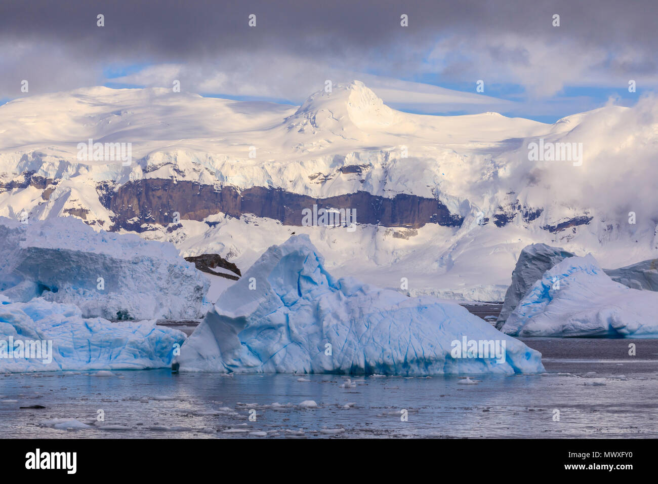 Blaue Eisberge und Berge, aus Cuverville Island, errera Channel, Danco Coast, Antarktische Halbinsel, Antarktis, Polargebiete Stockfoto