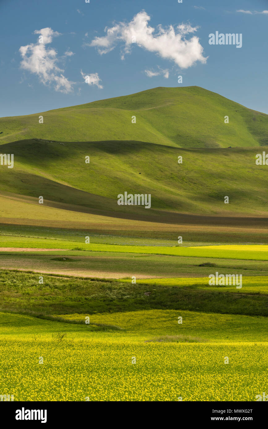 Piano Grande und die Monte Sibillini, Umbrien, Italien, Europa Stockfoto