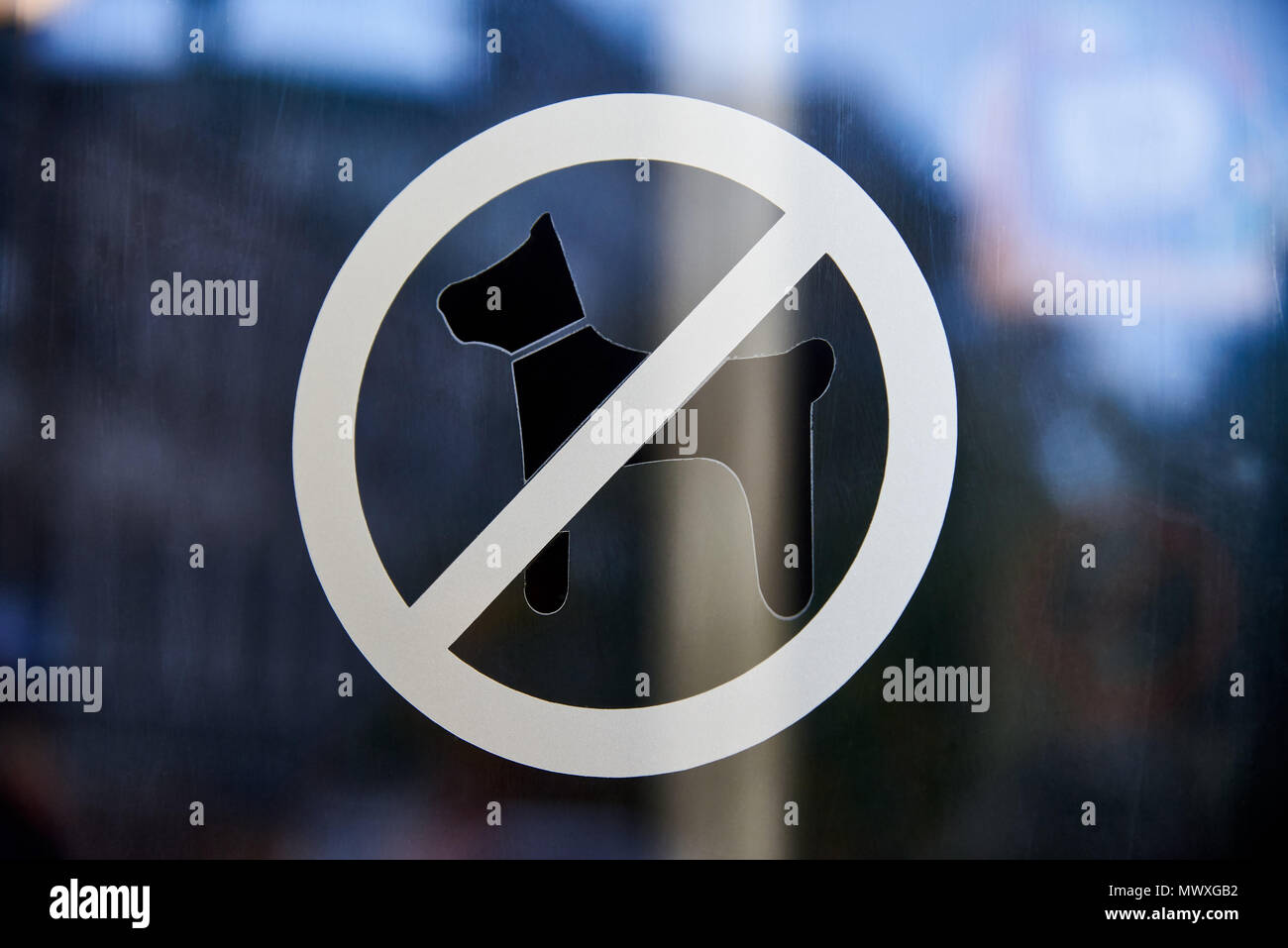 Ein Zeichen mit Hunden wird auf dem Glas verboten Stockfoto