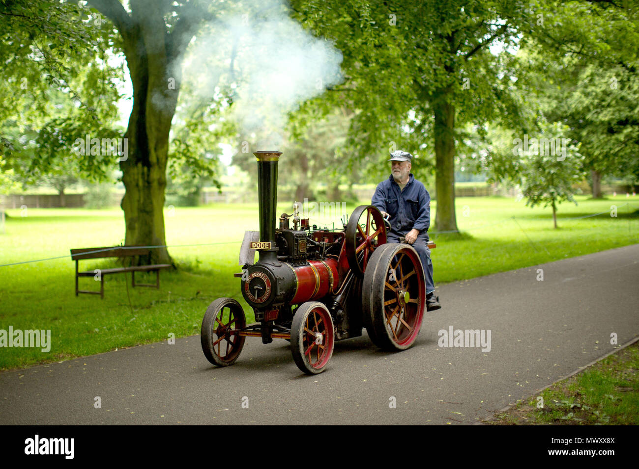 Ein Mann fährt mit seinem Dampfmaschine auf einen Weg an der Himley Hall vintage Messe in Dudley, West Midlands. Stockfoto
