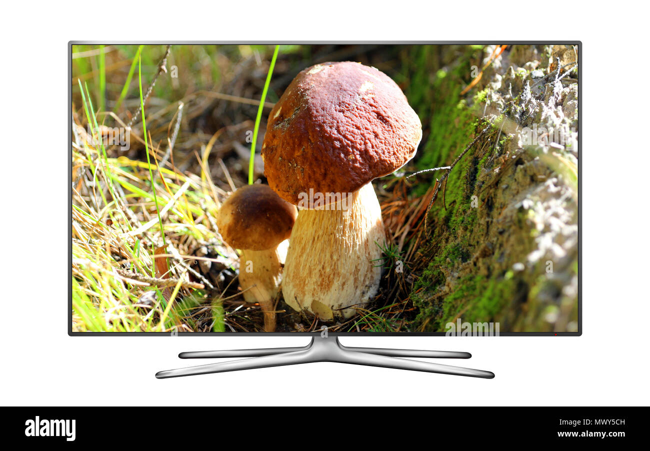 Smart TV isoliert auf Weiss mit Eiche bild Pilze auf dem Bildschirm Stockfoto