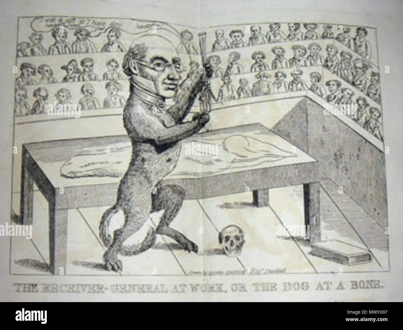 . Englisch: Dr. Robert Knox (ANATOM): Ein 1829 Karikatur. ca. 1829. Unbekannt 599 Der Receiver-General bei der Arbeit, oder den Hund an einem Knochen Stockfoto