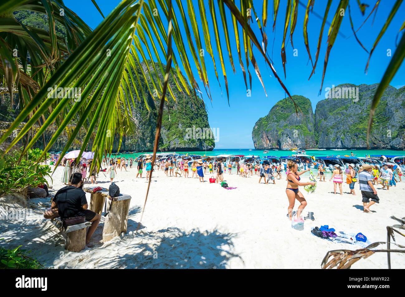 MAYA BAY, THAILAND - 12. NOVEMBER 2014: Besucherandrang auf einem Tagesausflug Bootsfahrt zu einem ikonischen Strand im Süden von Thailand, die gerade geschlossen hat. Stockfoto