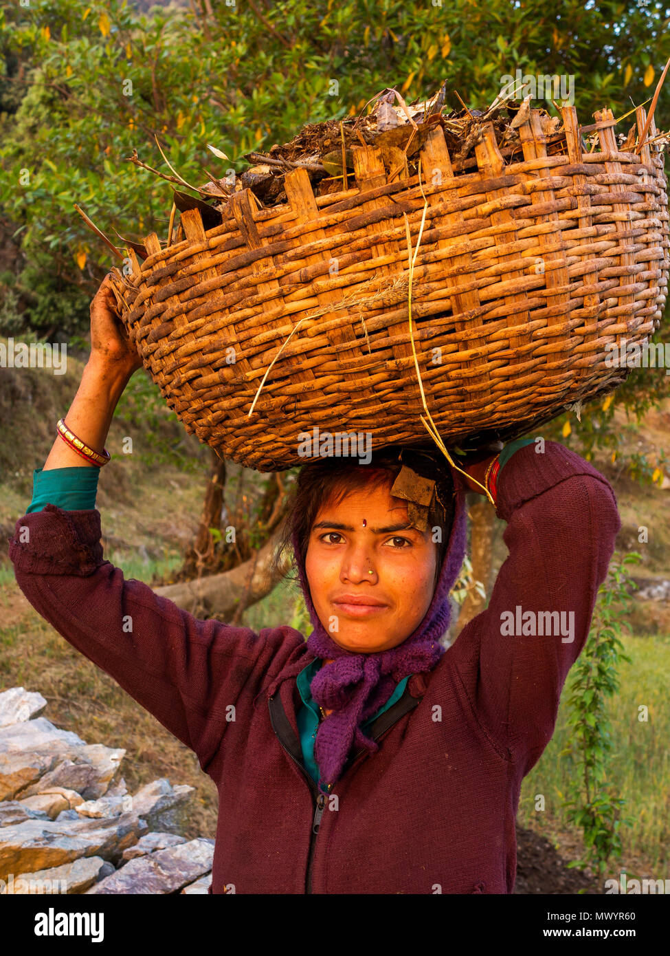 Junge indische Frau an Kala Agar Dorf, Kumaon Hügel, Uttarakhand, Indien Stockfoto