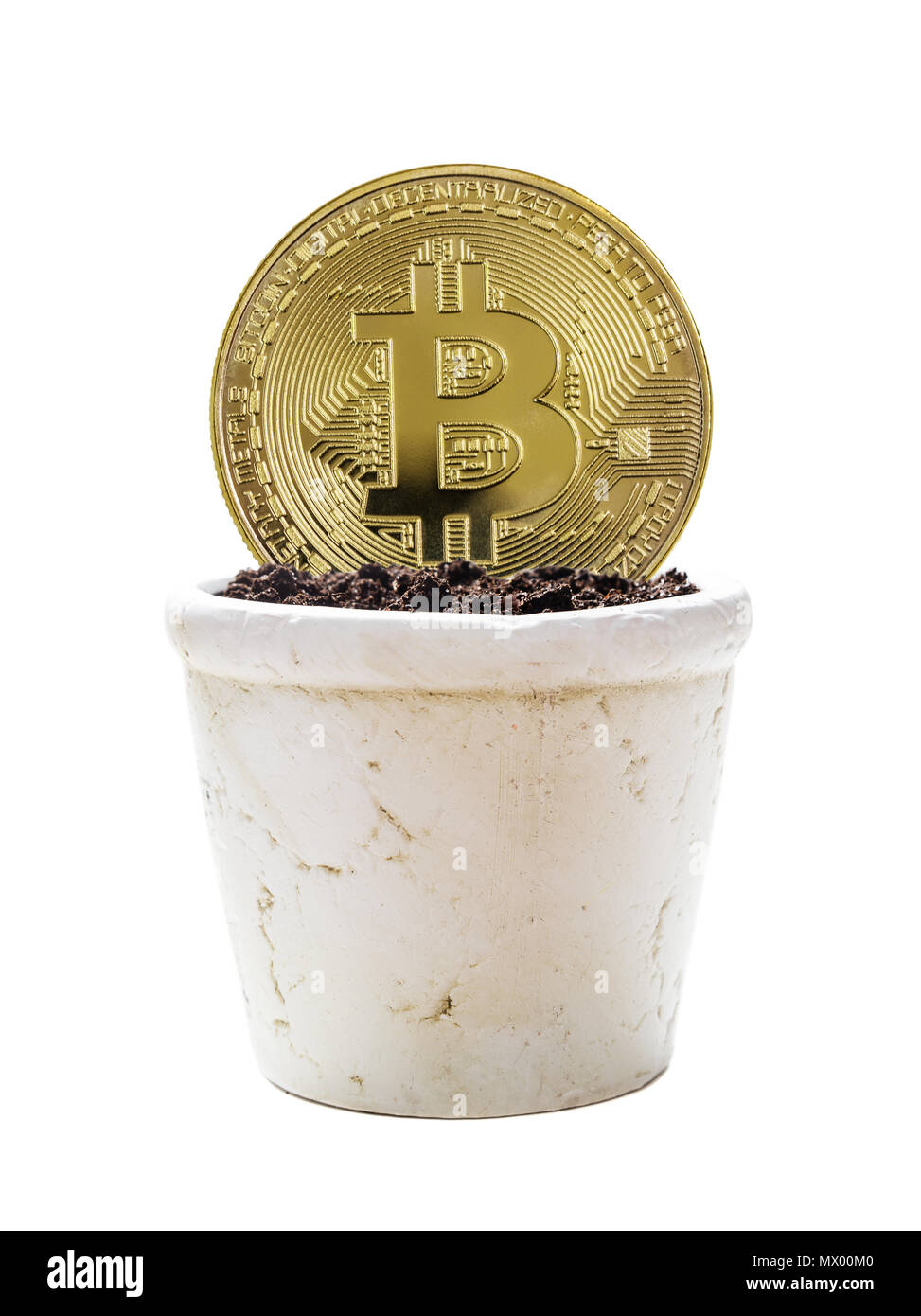 Symbolische goldene Medaille der bitcoin crypto Währung, neue digitale Geld in cyber Welt, ist in weiß Keramik Blumentopf mit Erde, isoliert auf weißem backgro Stockfoto