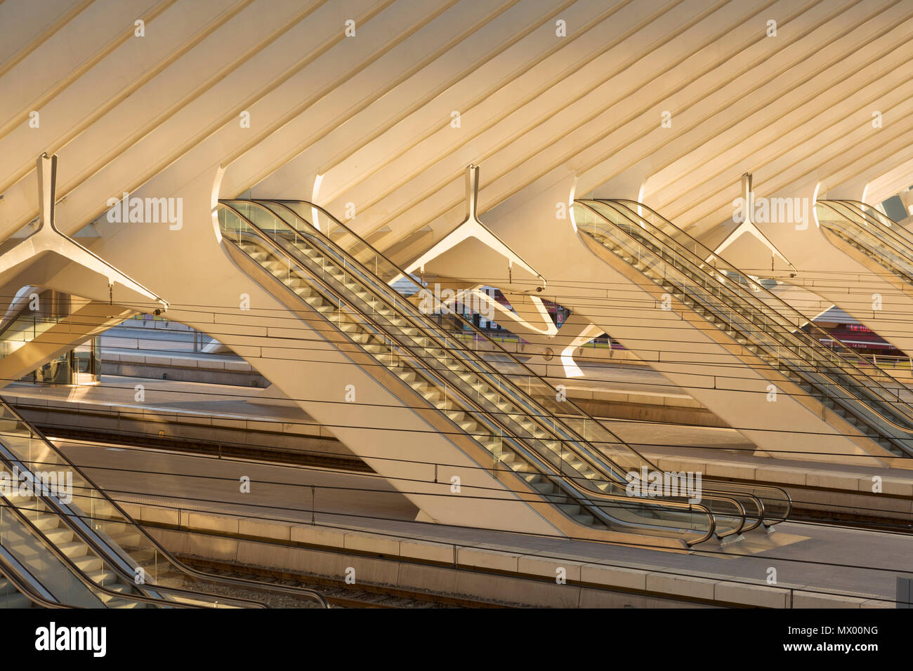Fahrtreppen auf die Plattformen in Lüttich Bahnhof Guillemins. Architekt: Santiago Calatrava. Stockfoto