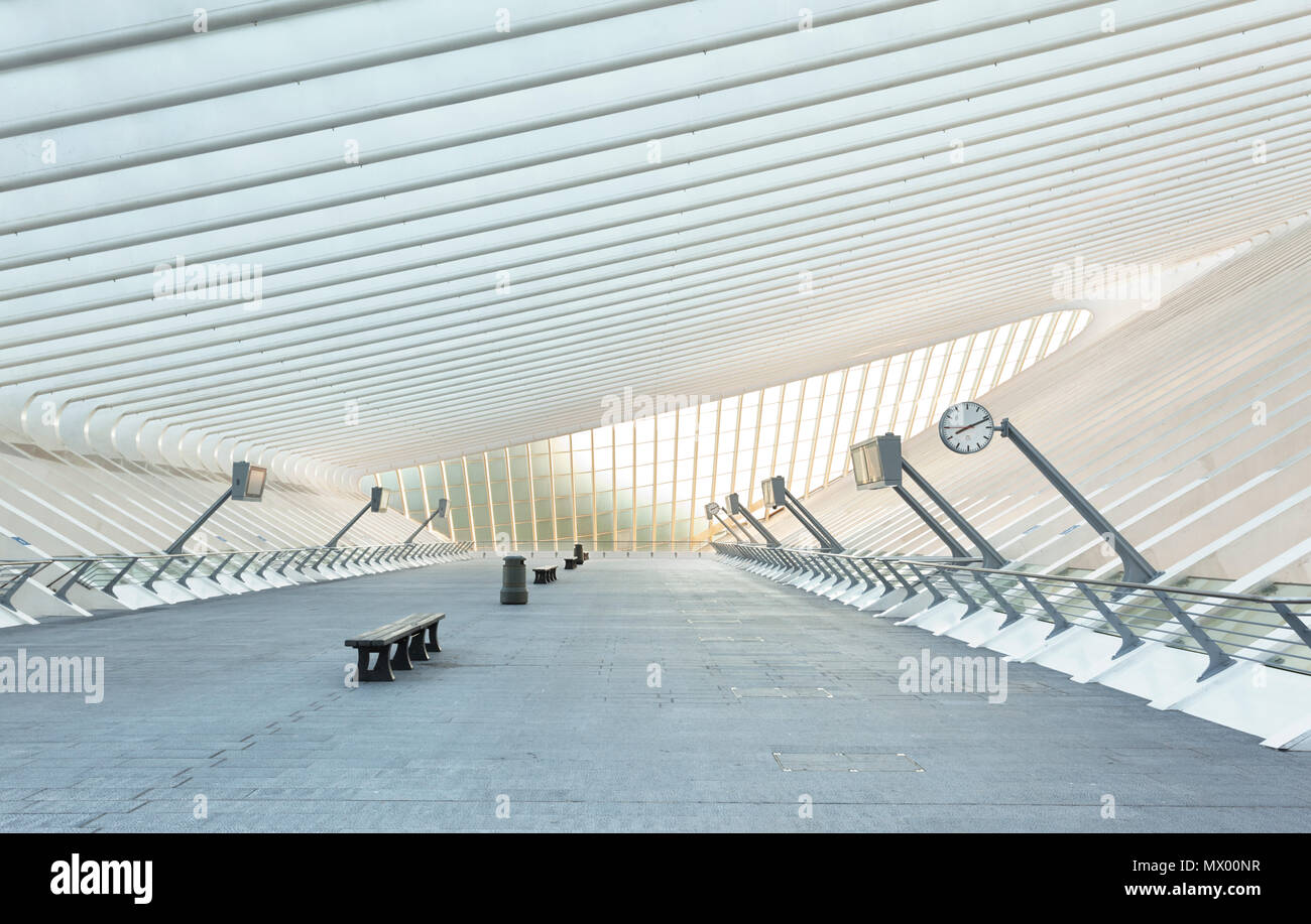 Lüttich Bahnhof Guillemins. Dies ist die Ebene oberhalb der Titel mit Zugang zu den verschiedenen Plattformen durch Rolltreppen und Treppen Architekt: Santiago Stockfoto
