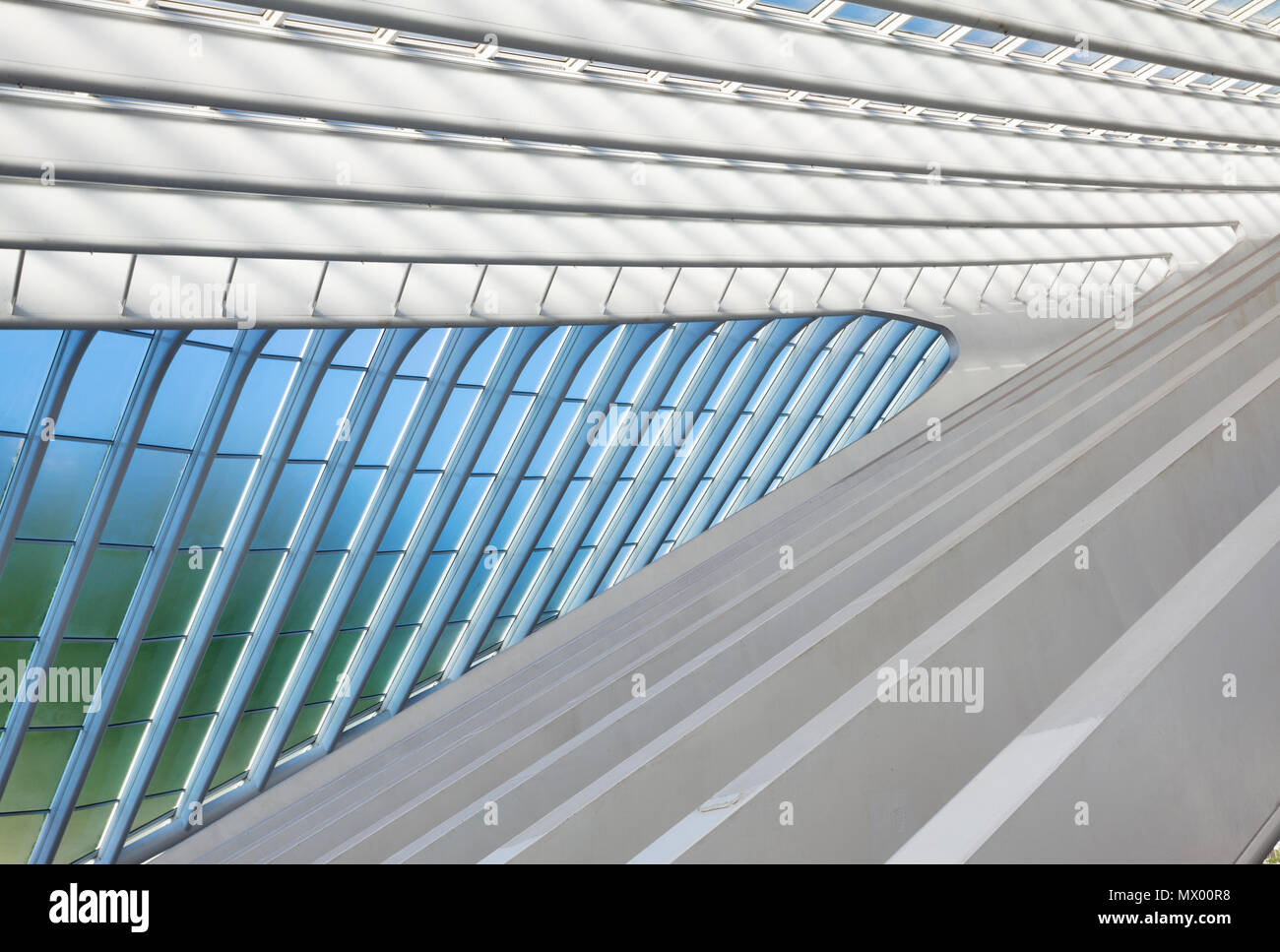 Lüttich Bahnhof Guillemins. Architekt: Santiago Calatrava. Stockfoto