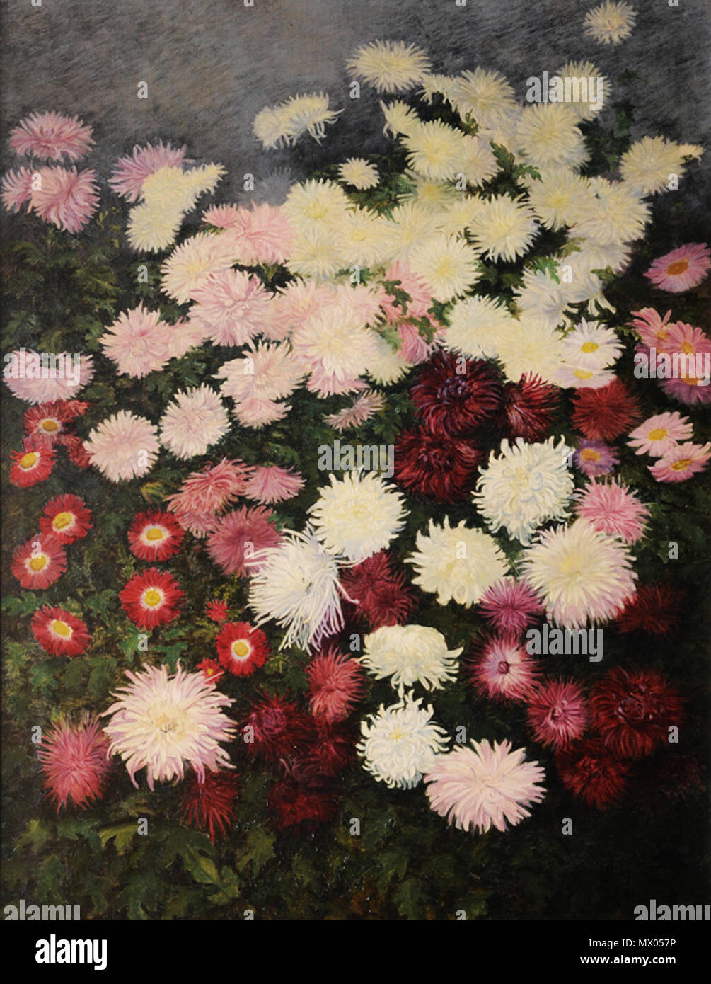 . Chrysanthemen. Öl auf Leinwand, 106,5 x 134 cm. von 1920. Johanne N. L. Frimodt (1861-1920) 320 Johanne N L Frimodt Chrysanthemen Stockfoto