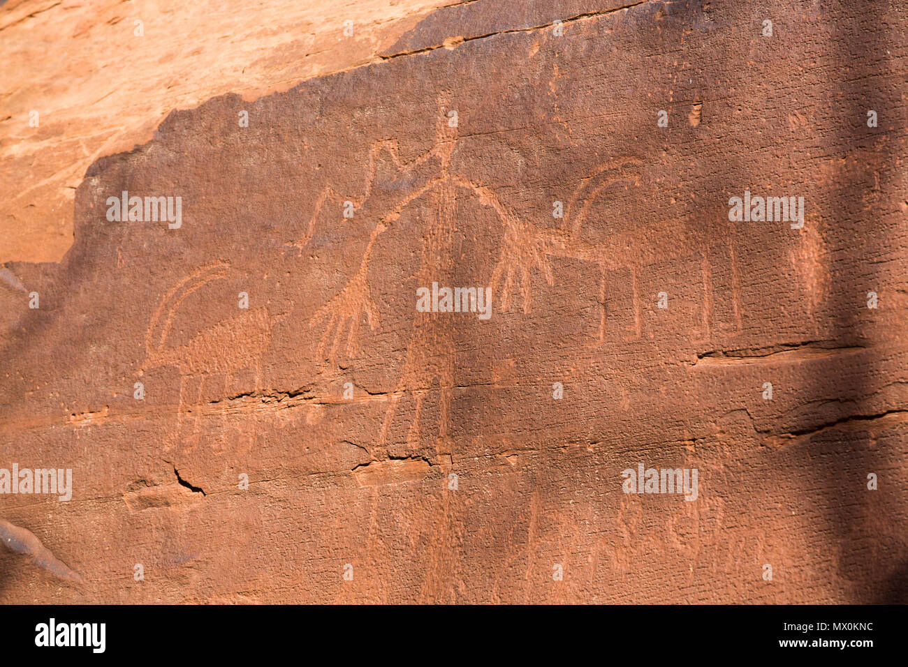 Ancestral Puebloan Petroglyphen, oberer Sand Island, Bären Ohren National Monument, Utah, Vereinigte Staaten von Amerika, Nordamerika Stockfoto