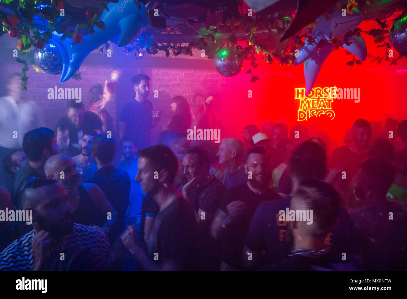 Horse Meat Disco, Vauxhall Stockfoto